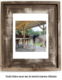 trail rides near me in North Aurora, Illinois